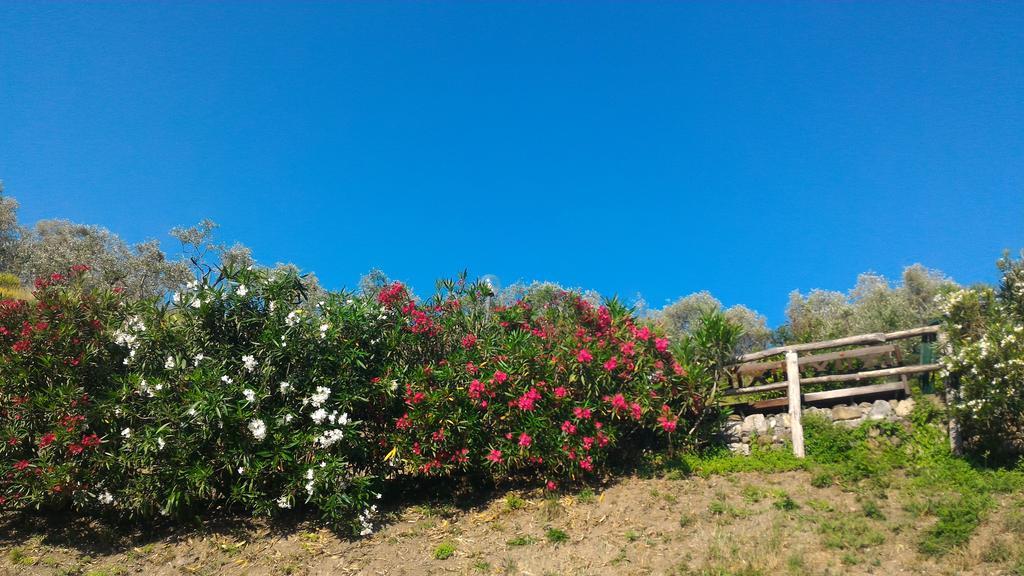 Agriturismo La Quiete Levanto Kültér fotó